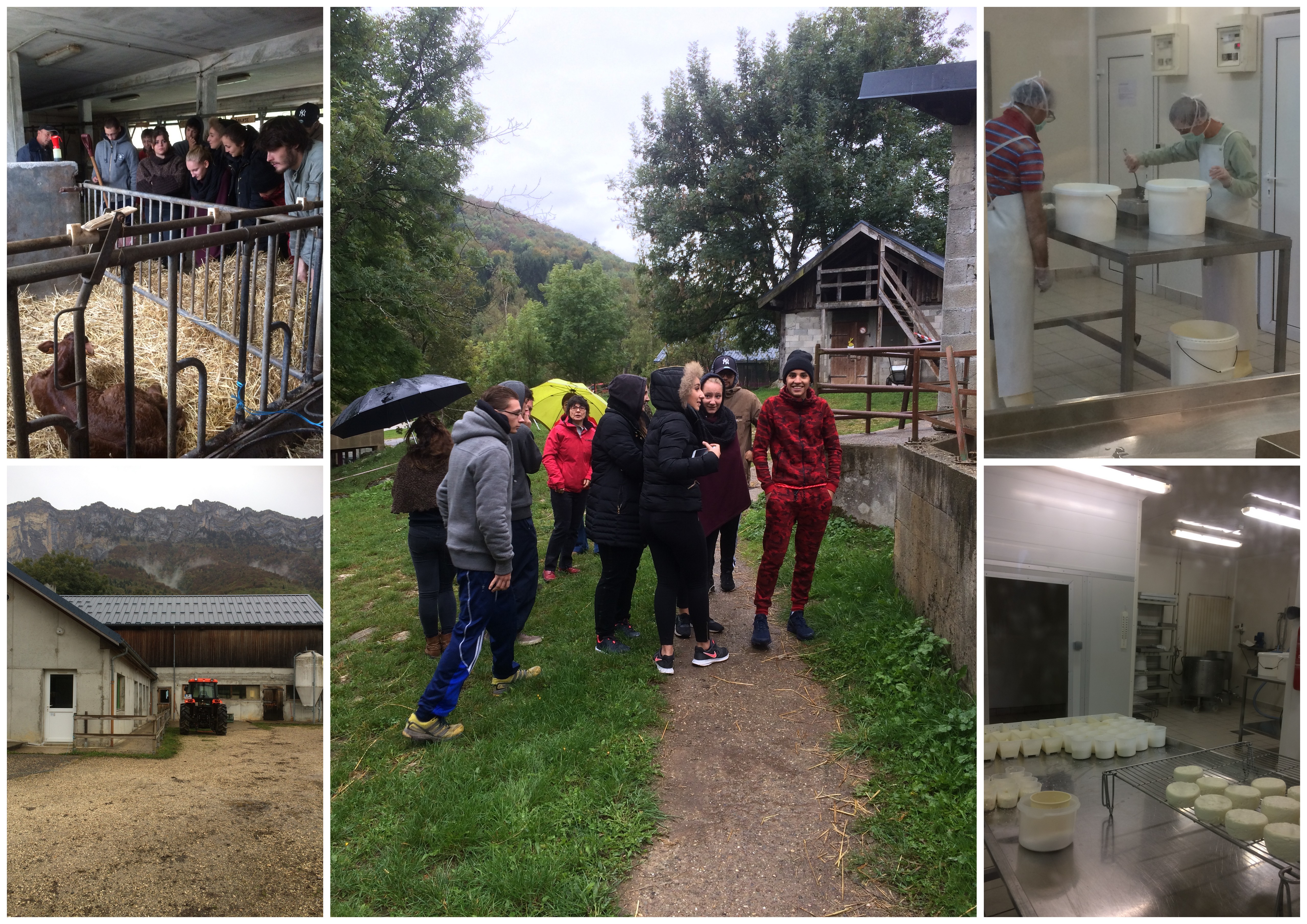 VISITE A LA FERME avec les CAP CR Allevard Le Bréda Groupe Creefi
